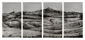 Four panel watercolour drawing.
